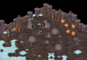 Rabibunny Village