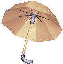 Parapluie de la cliente.png