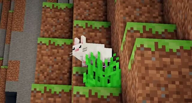 File:Noah the Bunny.jpg