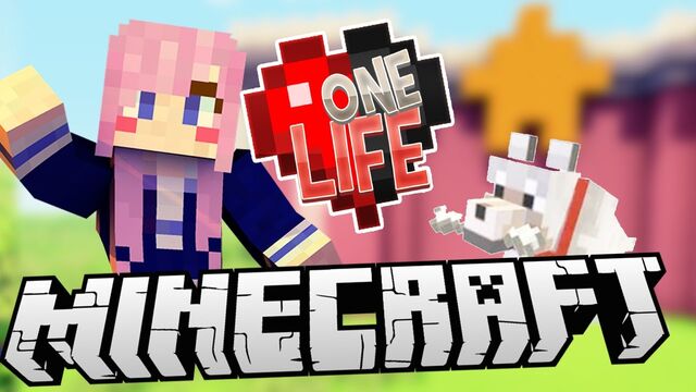 File:OneLife3.jpg