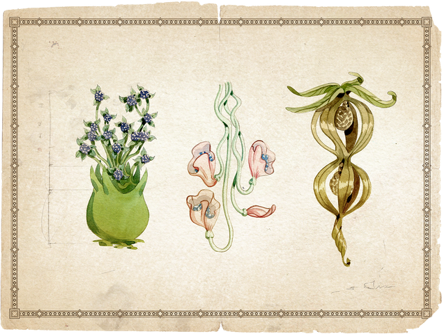 File:Vastaya Lore 7.png
