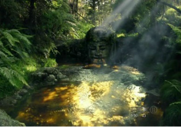 ShadowWater