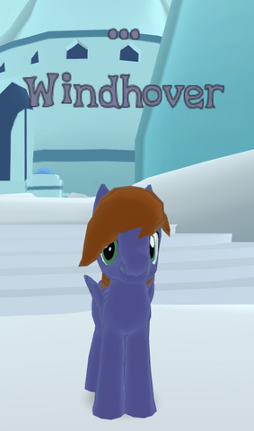 File:Windhover.png