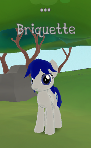 File:Briquette.png