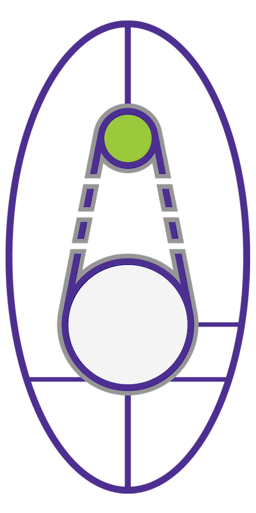 Scale