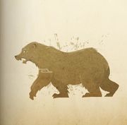 Eisbären