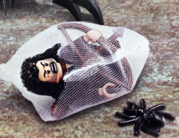 File:Kili In Spider Web.png