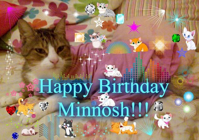 File:Minnosh's 8th Birthday 1.jpg