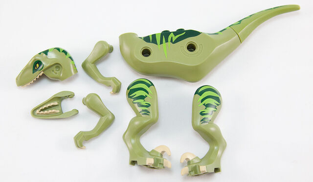 File:Raptor parts.jpg