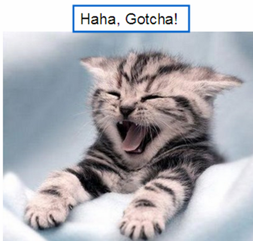 File:Funny cute cat.png