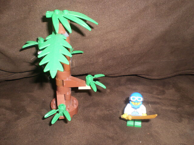 File:Zack's Ninja Training.jpg