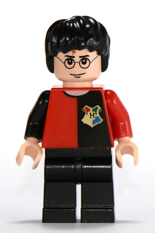 File:Harry winning.jpeg