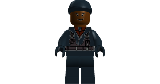 File:MCM SHIELD Guard.png