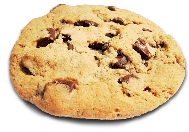 File:20120315192444!Cookie.png