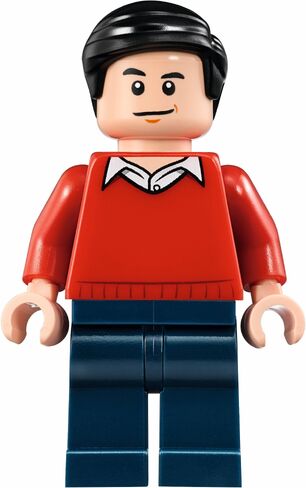 File:Lego-Classic-TV-Series-Batcave-76052-Set-Contents-Dick-Grayson-Minifigure.jpg