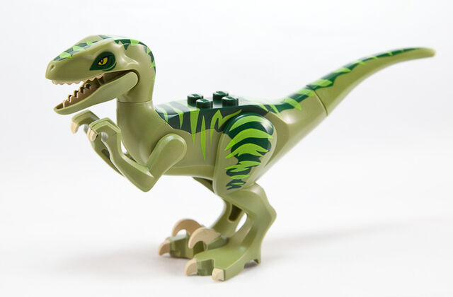 File:Raptor-2.jpg