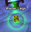 Legs