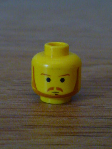 File:Qui-Gon Head.jpg