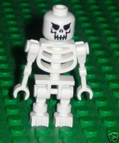 File:Skeleton.jpg