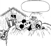 529