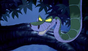 Kaa suite.jpg