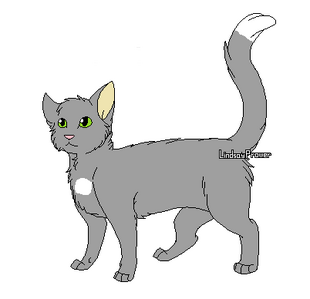 chaton pute tchat discret chaton pute tchat discret