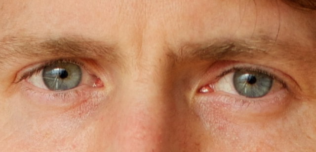 File:Sweetlittlelies.png