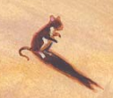 Souris2