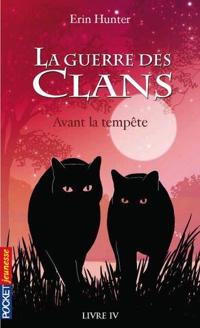 Fichier:Avant la tempête.jpg