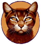 Conteur 2.png