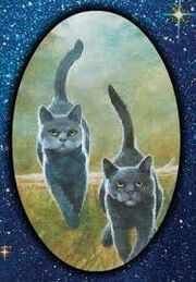 Images2HBYKGGO.jpg