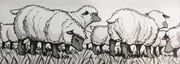 Moutons.jpg
