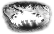 Fondateurs.png