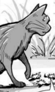 Patte de Pierre.manga La promesse de l'Élu.png