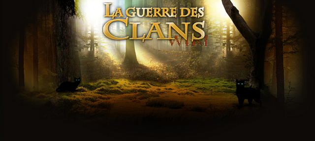 Fichier:Wikia-Visualization-Main.png
