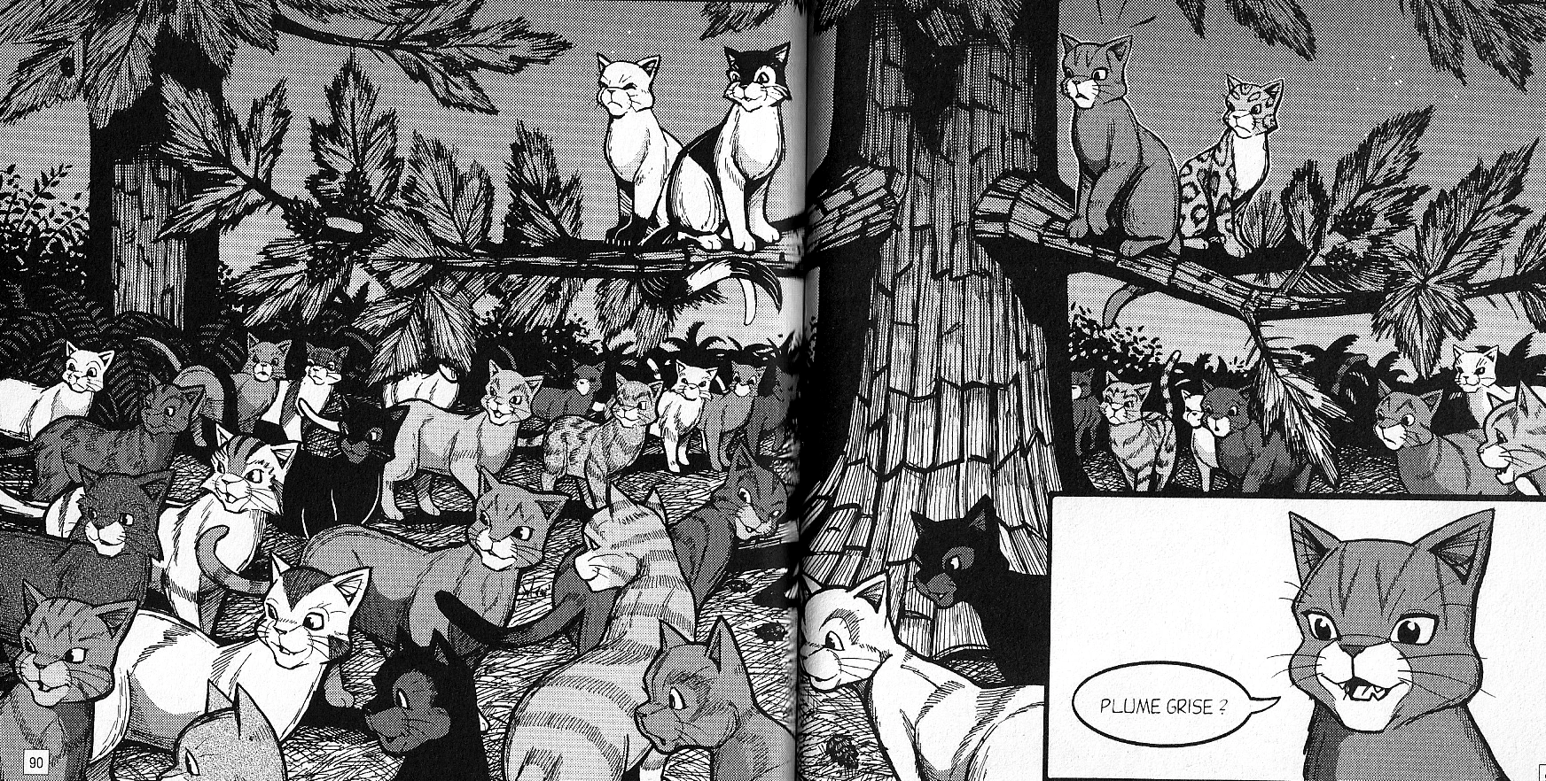 Ou Se Deroule La Bataille Des Clans