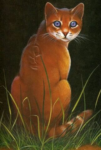 Fichier:Heatherpaw.jpg