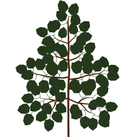 File:BranchTest2.png