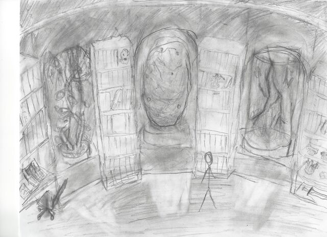 File:RoomWIP.jpg