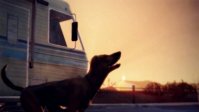 File:LifeIsStrange 2015-05-23 13-39-19-75.jpg