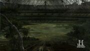 Astrodome inside