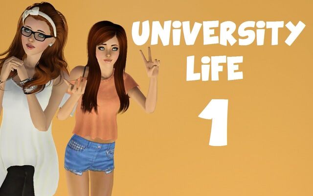 File:Univeristy-lp-cover.jpg