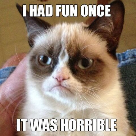 File:Grumpy-cat.jpg