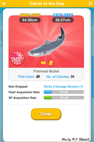 File:Flathead Mullet.png