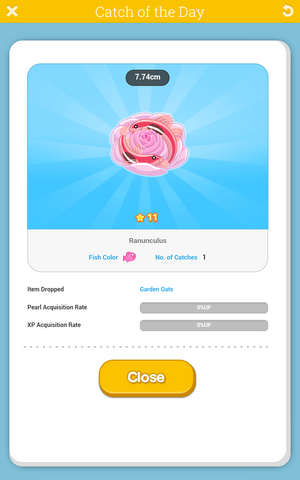 File:Ranunculus.png