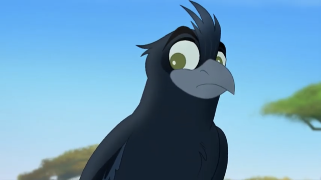 File:The-call-of-the-drongo (278).png