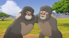 The-lost-gorillas (110)