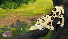 The-trouble-with-galagos (113)