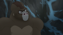 The-lost-gorillas (472)