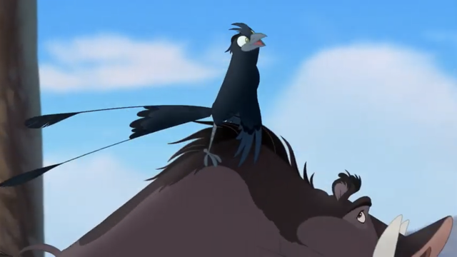 File:The-call-of-the-drongo (174).png
